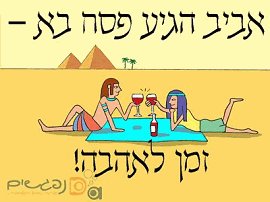 ������ ���� ���� - ��� �����